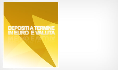 Depositi a termine in Euro e  valuta