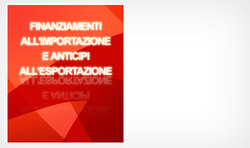 Finanziamenti all'Importazione e Anticipi all'Esportazione