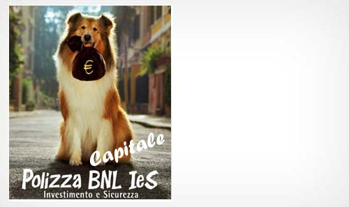 Polizza BNL IeS Capitale