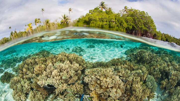 Veduta fotografica di una barriera corallina attraverso un obiettivo fish-eye.